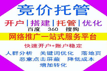 成功SEM推广代运营案例分享